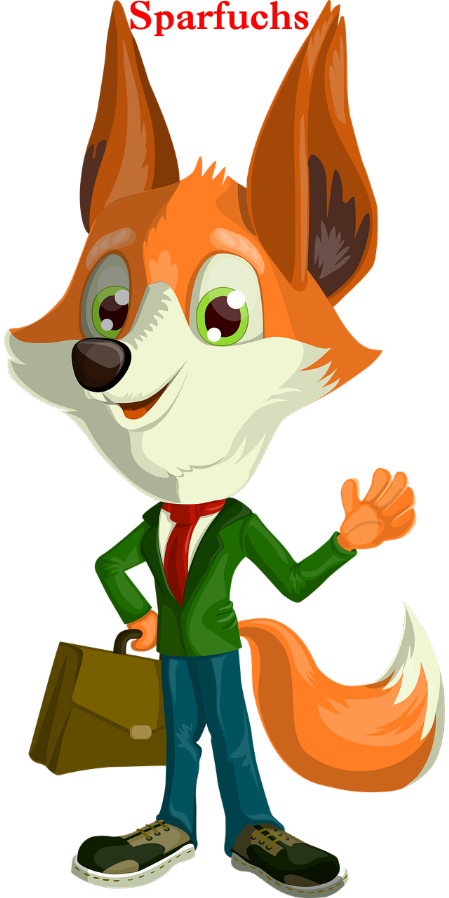 Sparfuchs Geld Sparen