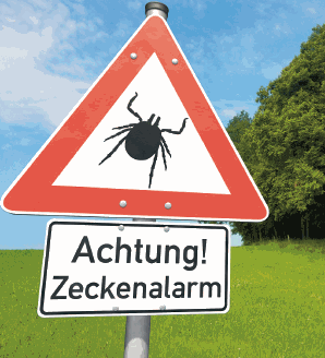 Unfallversicherung Zeckenstich Zeckstich Unfallversicherung